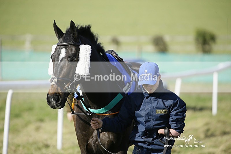 PtP 260222 300 - Kingston Blount Racing Club Point-to-Point 26/02/22