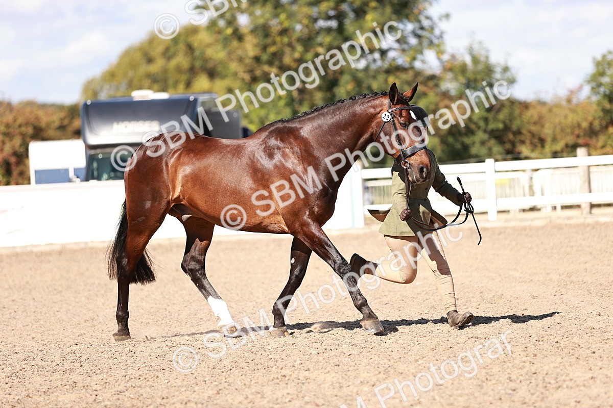 SBM_13279 - class 406 - IH Hunter