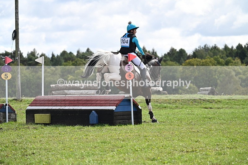 WJ7_0529 - Time 11:36 to 12:00