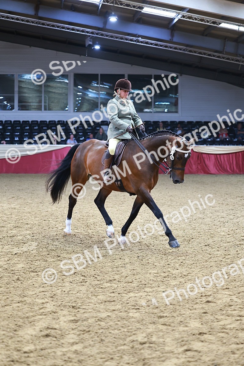 SBM_23379 - class 906 - Supreme Final - Ridden Pre Vet