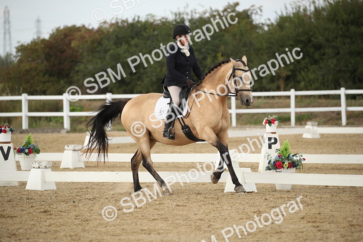 SBM_003101 - Class 6 - Elementary 5 - 14.50-15.46