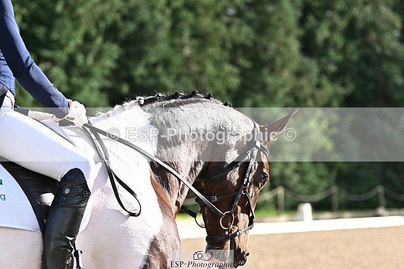 241023-144929-00617 - 004-Claire.Deuten-FOXRIDGE.HIGH.JINX