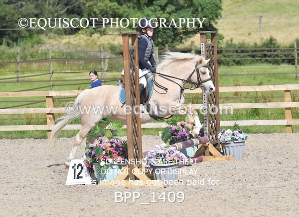 BPP_1409 - DERBY CLASS 2 - 30CM