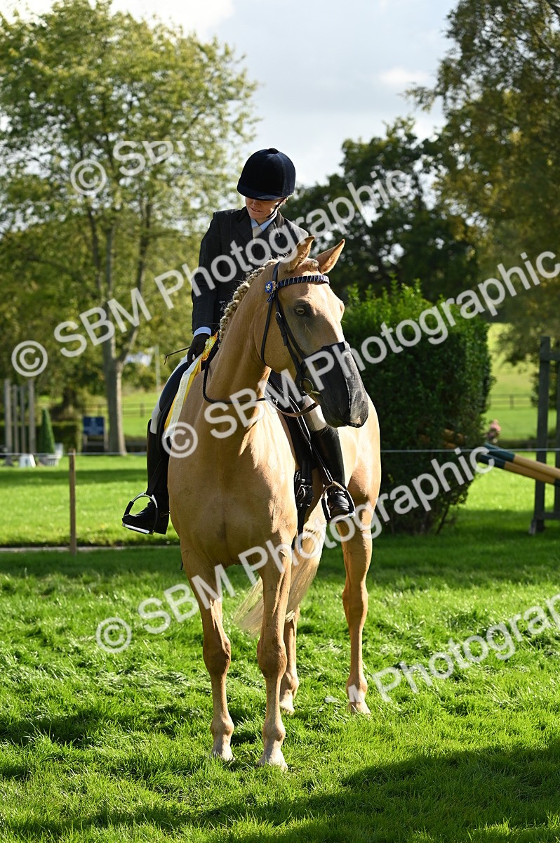 SBM_26478 - S6 - Novice & newcomer Ridden horse