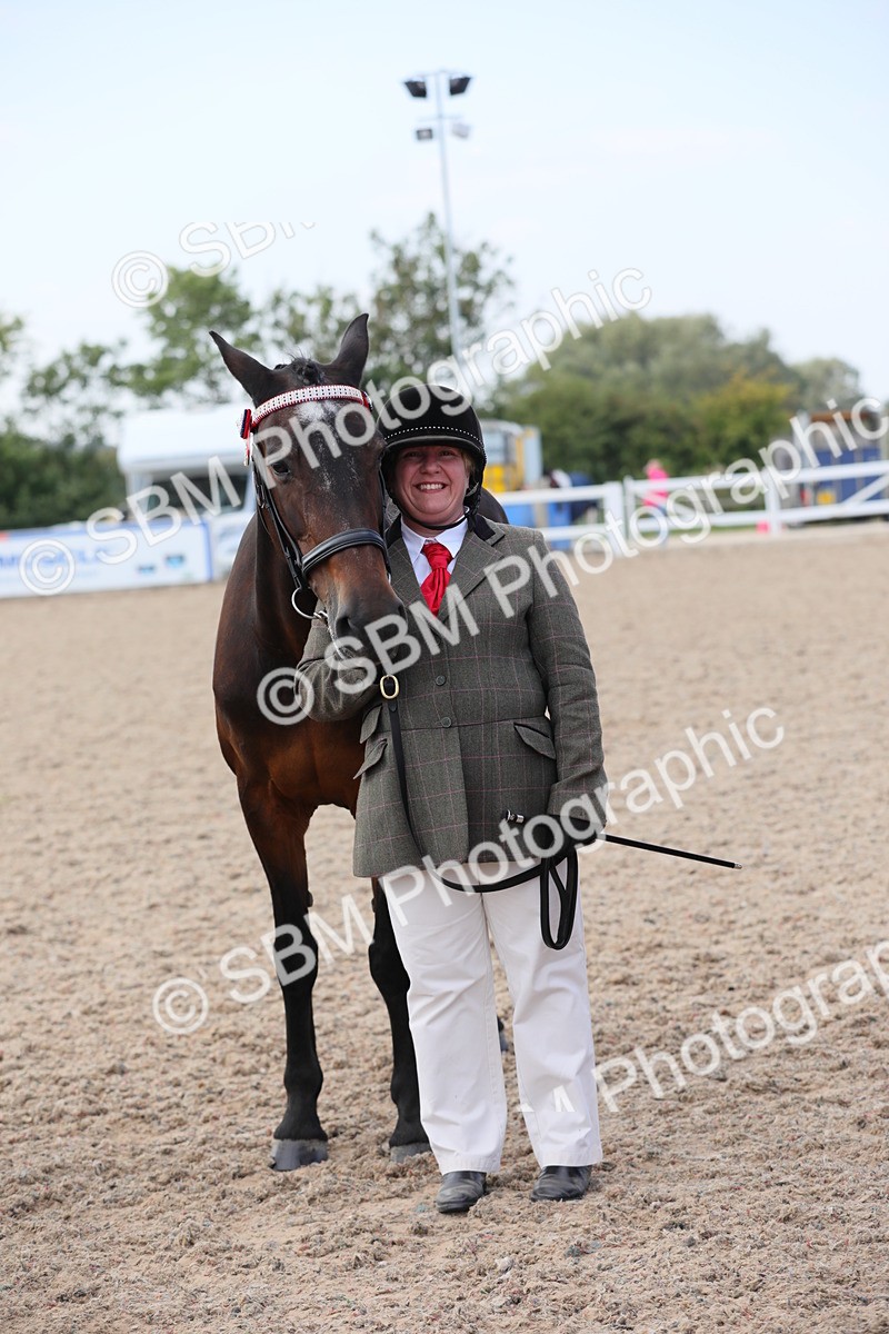 SBM_15885 - Class 312 IH Competition Horse/Pony