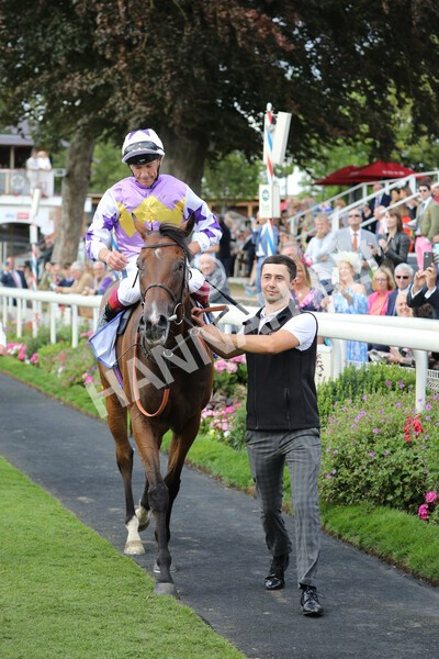 yr20082022r3-31 - Race 3 3.00pm Sky Bet City of York Stakes