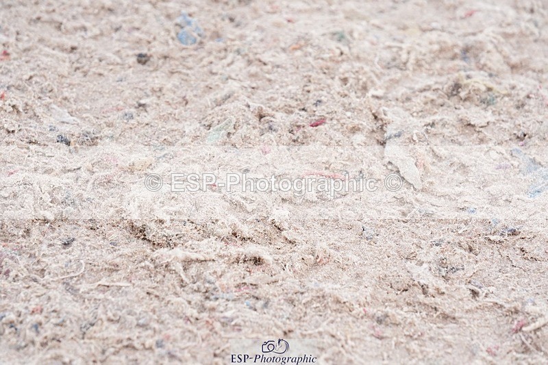 250426-110940-11919 - Cls 31 Young Horse 6yr old