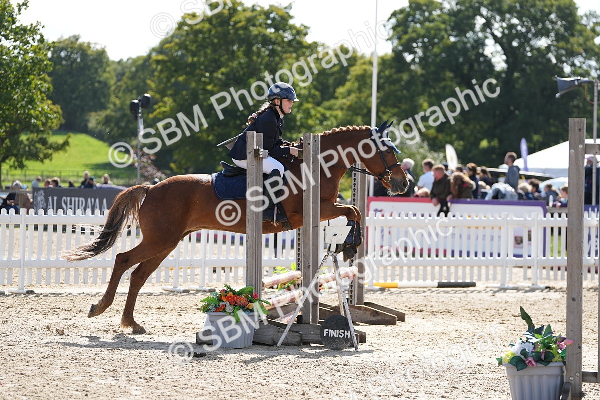 SBM_46497 - J7 - Junior Pony 60cm Championship