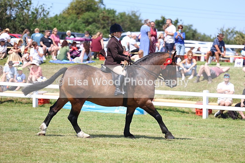 3E7A9511 - Open Ridden Championship
