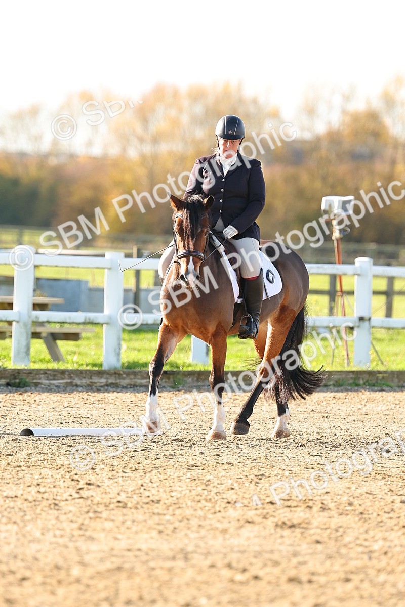 SBM_001669 - Medium 4