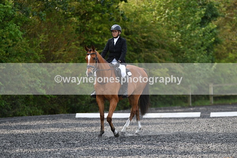 WJ5_9333 - Time 10:10 to 10:47