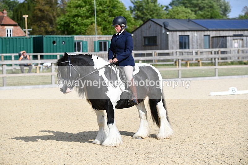 WJ5_7790 - Time 16:40 to 16:55