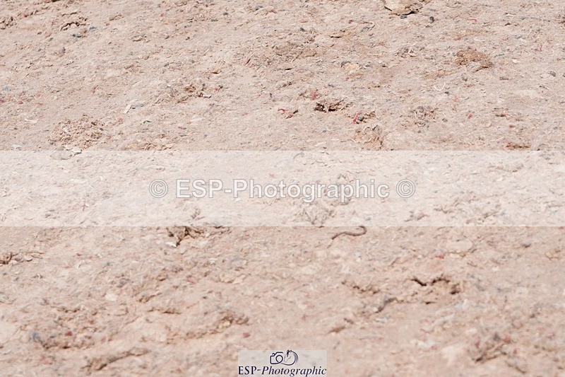 250510-125740-11353 - Cls 15 Prestige Big Star Quali  2nd Jump Off