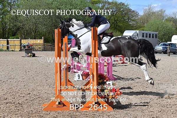 BPP_2645 - FRI CLASS 4 95CM AM CHAMP QUAL