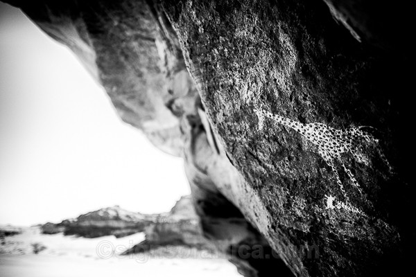 Algeria, Rock Art, Giraffe,Tadrart Rouge, Sony A7RV