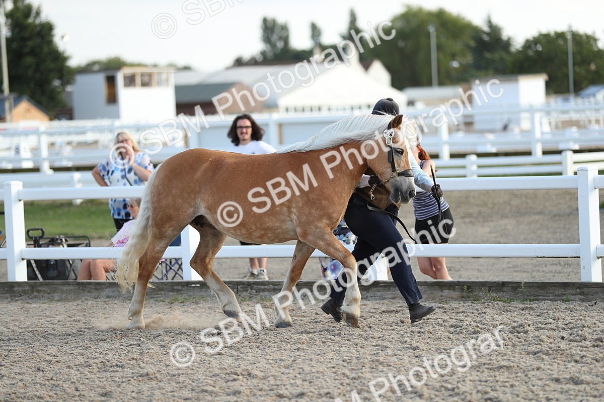 SBM_08910 - Class 29 IH Veteran Pony