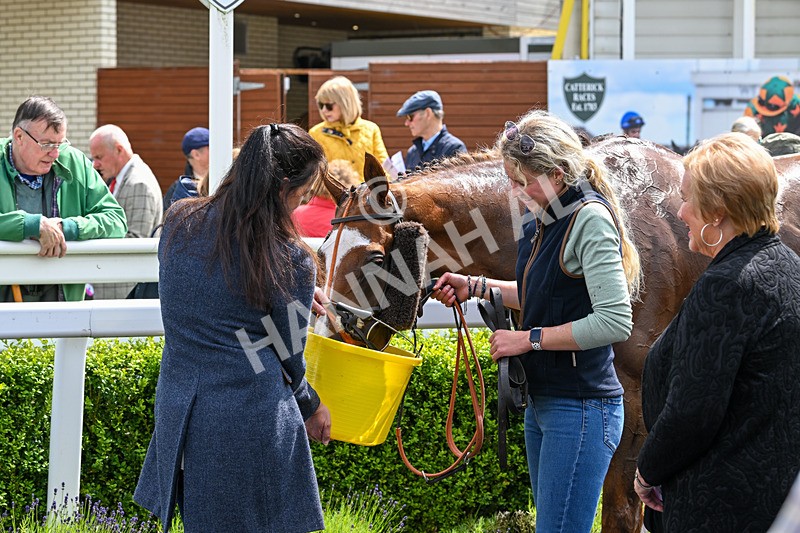 180624-Race 1-The Dancing Poet-0072 - Race 1