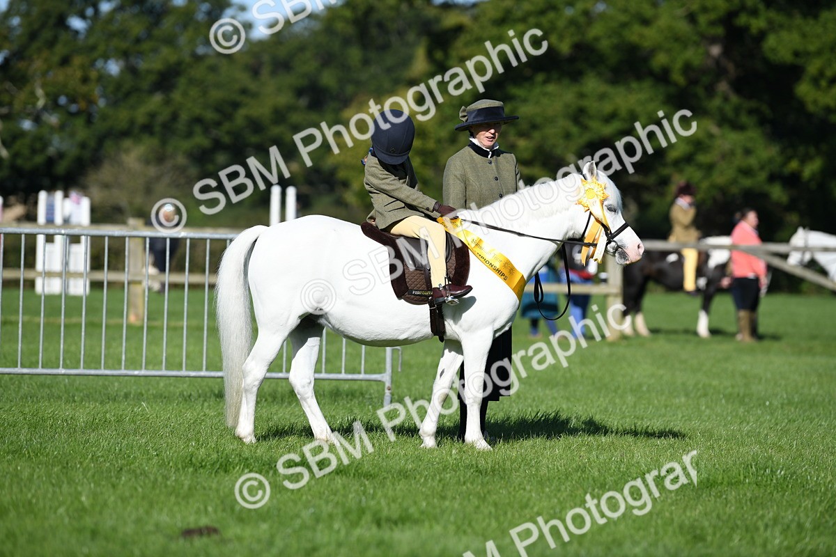 SBM_35546 - Top Turnout Supreme Championship