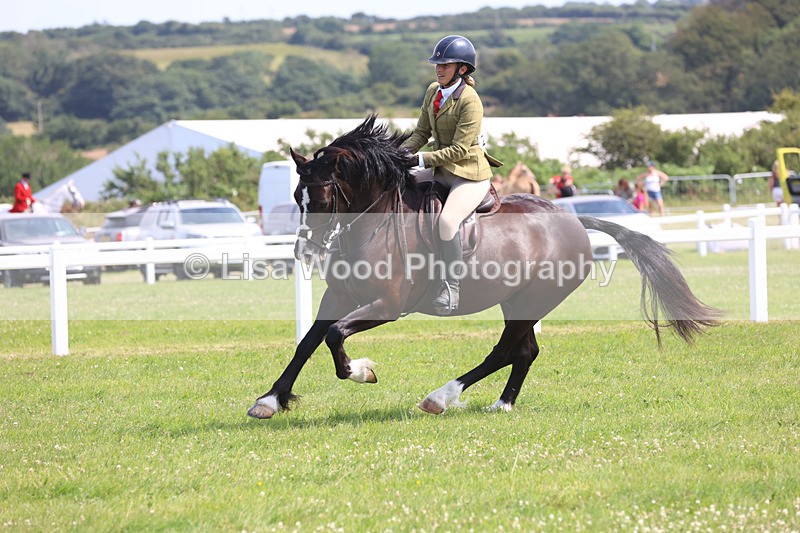 JPP_3554 - Class 23: Working Hunter 80cm
