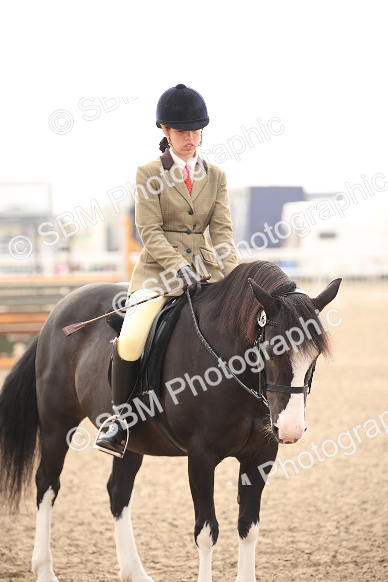 SBM_09755 - Class 401 Riding Club Pony