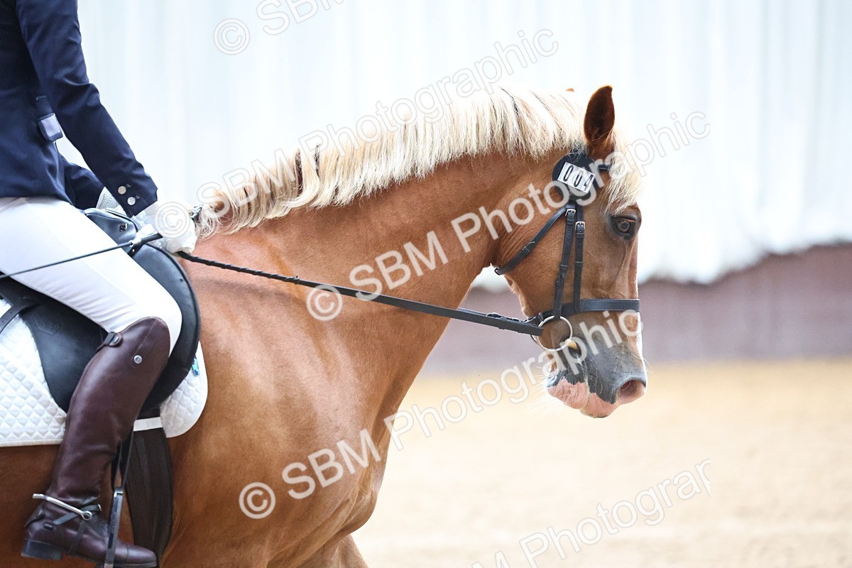 SBM_004111 - Class 1 - Intro 2-3