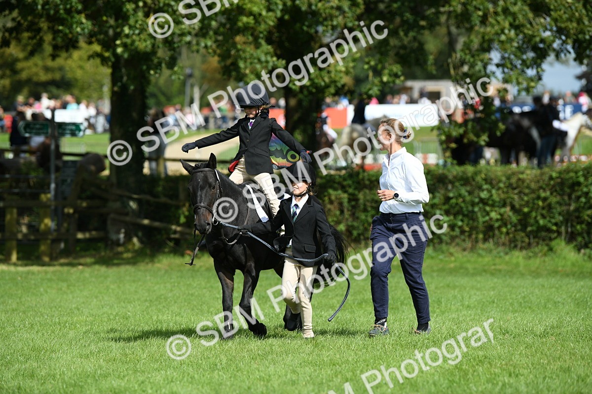 SBM_46958 - S12 - Family Horse & Pony