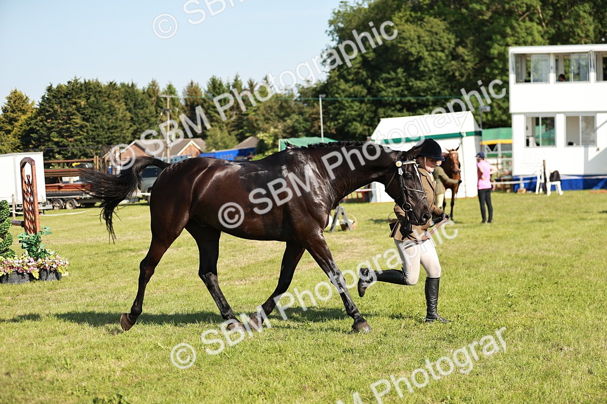 SBM_19300 - Class 115-116 - LIHS BSHA Rising Star Working Hunter & Show Horse