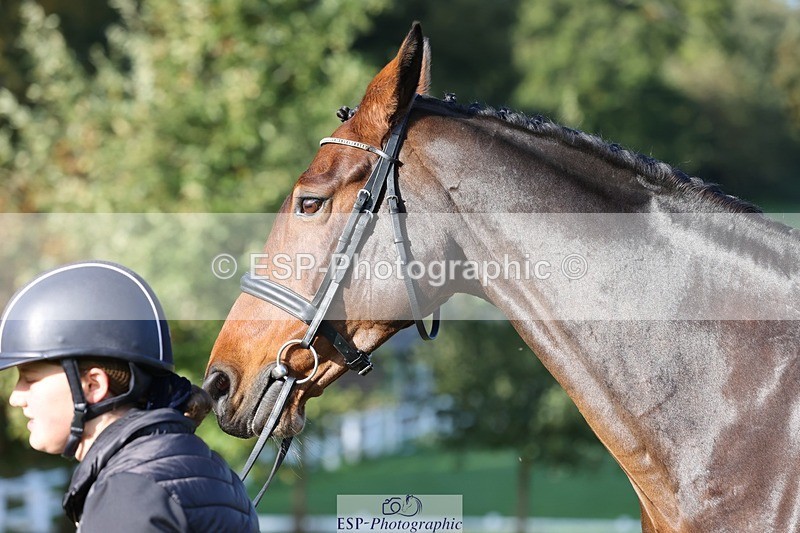 241027-101404-15761 - 509-Tichy.Sanders-SPARHANGER.VELVET