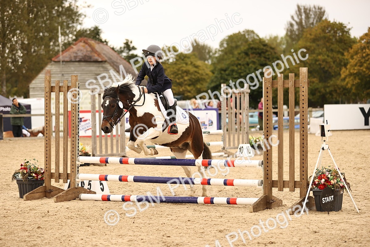 SBM_74253 - J14 - Junior Pony 65cm Championship