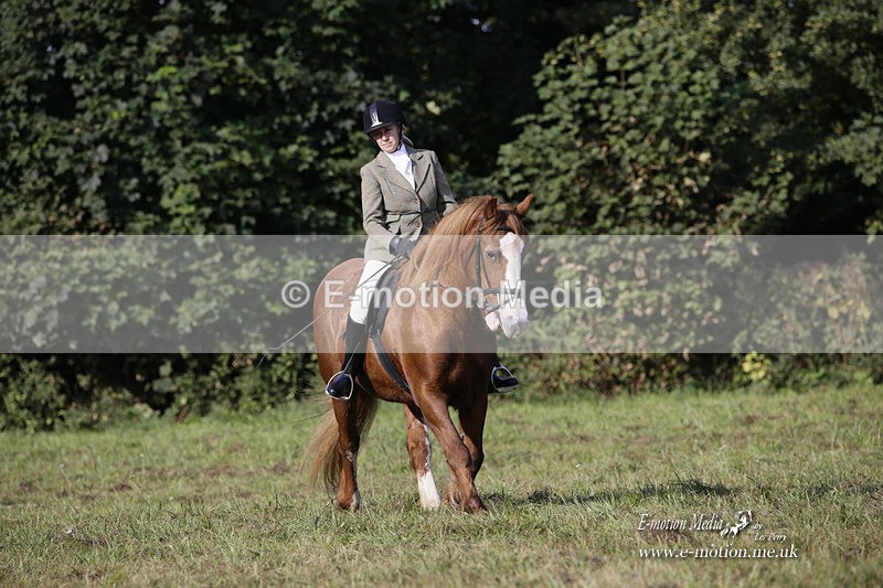 BVRC 120921 40 - Bourne Valley Riding Club UA Dressage & Show Jumping 12/09/21