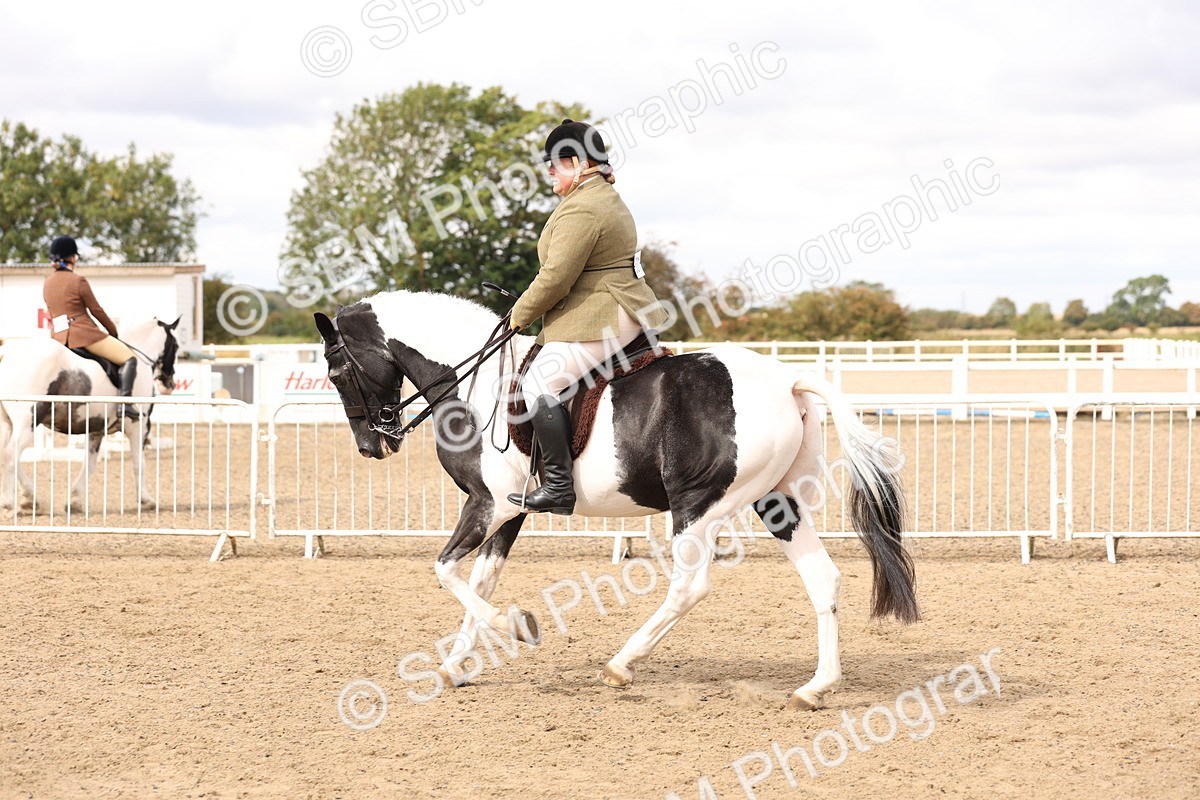 SBM_04284 - Class 54 - Riding Club Horse/Pony