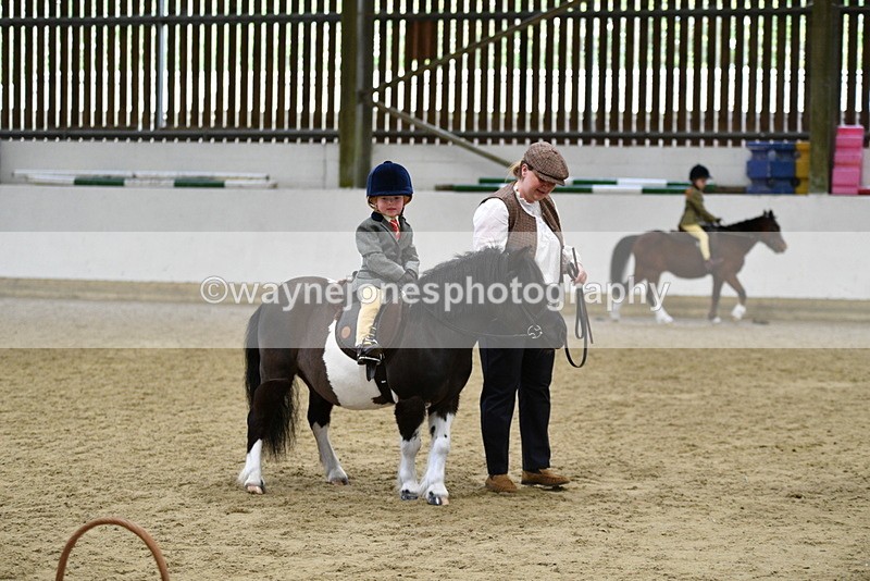 WJ5_7070 - Class 10 Childs Pony