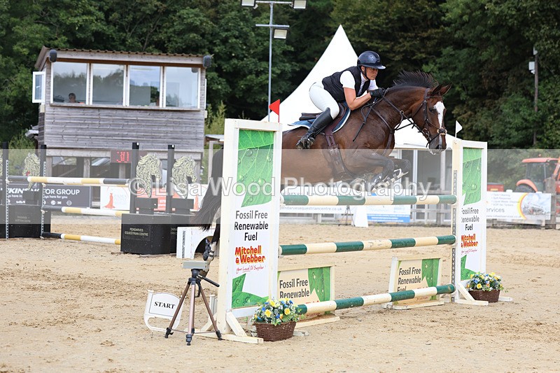 3E7A4442 - Class 8: Senior Foxhunter/1.20 open