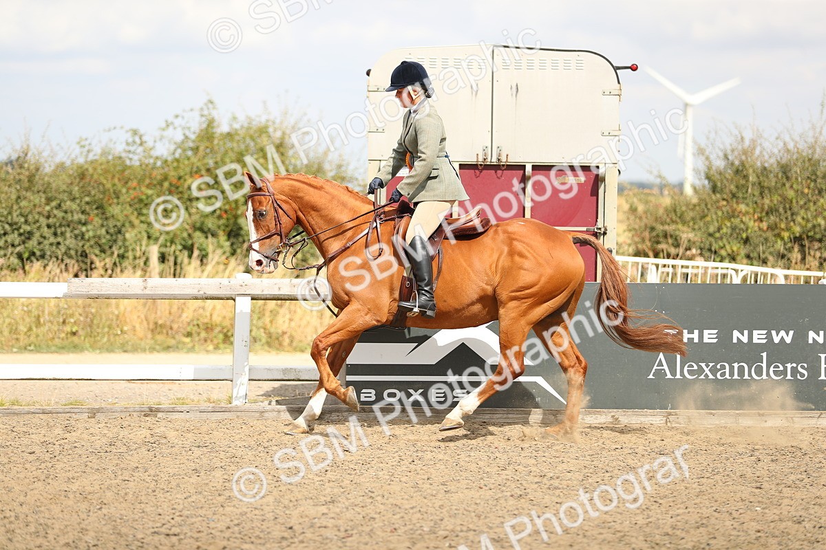 SBM_04818 - Class 46b Style & Performance 50cm (20+)