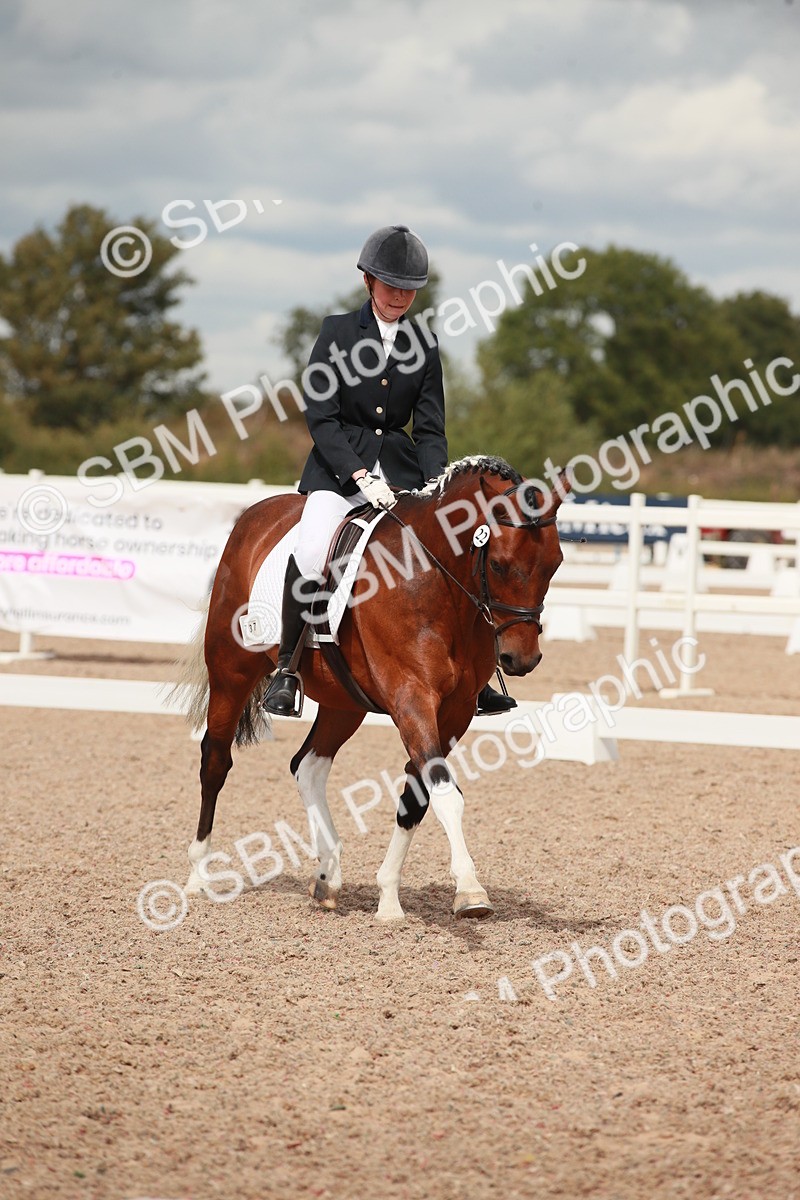 SBM_05936 - Class 32 - Novice 1