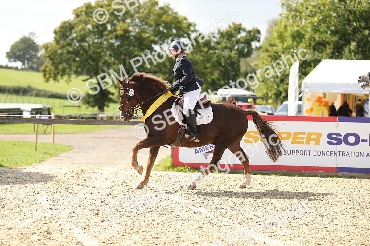 SBM_05847 - J35 - Veteran Rider 60cm