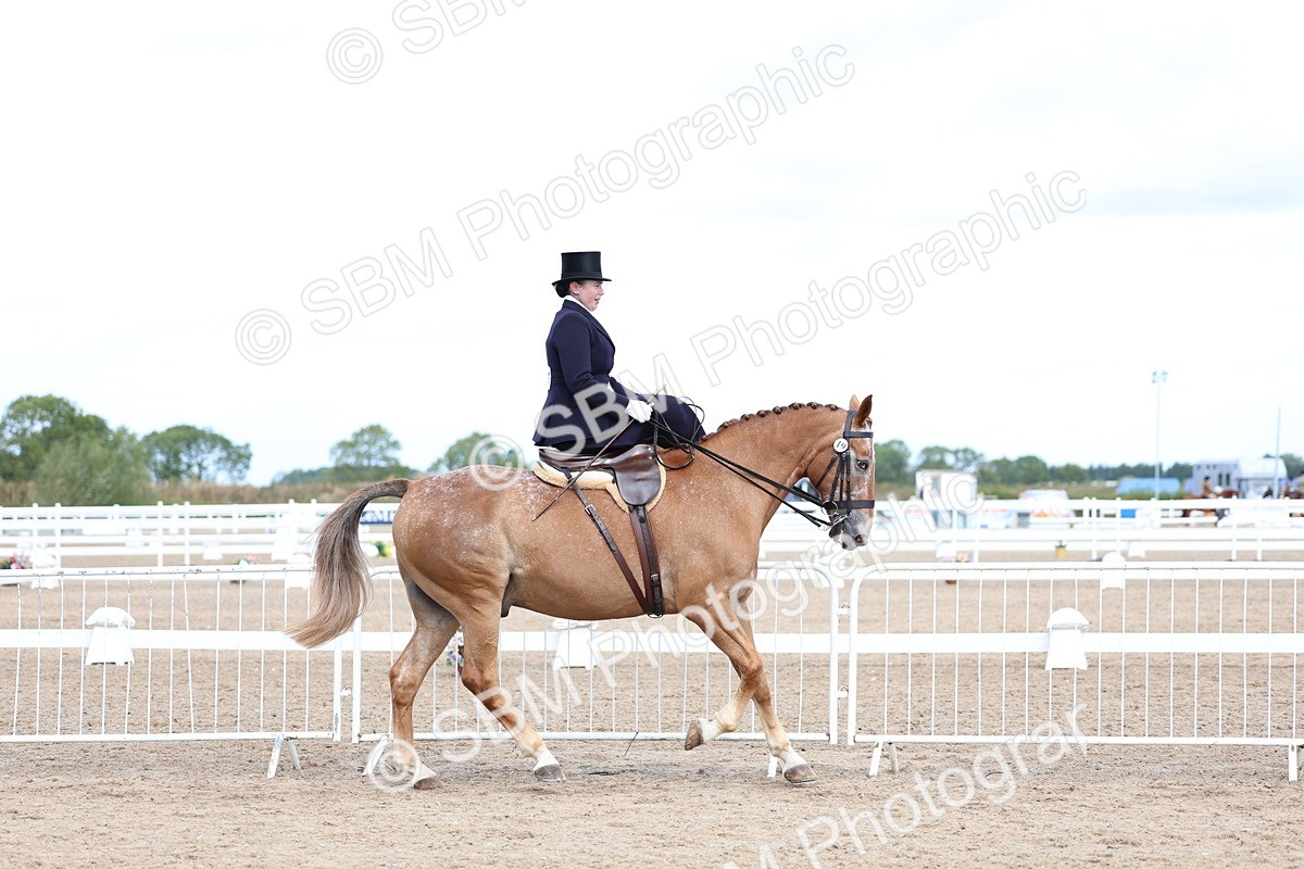SBM_03203 - Class 22 - SSA Equitation (any age)