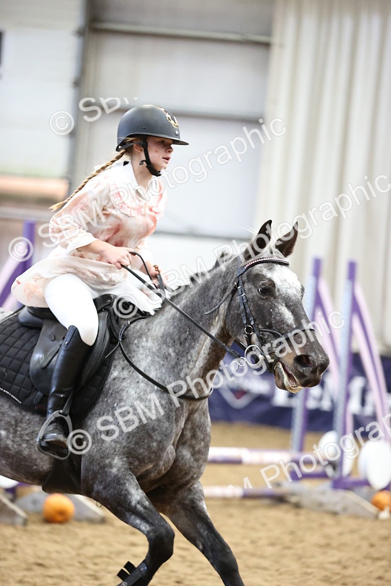 SBM_001484 - Class 3 - Horse & Hound 60cm