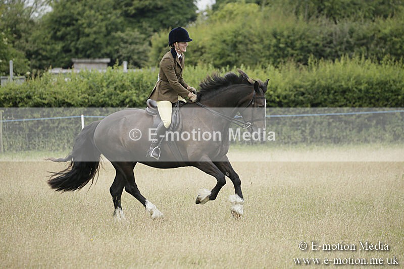 B230619-0095 - Bourne Valley Riding Club Summer Show 23/06/19