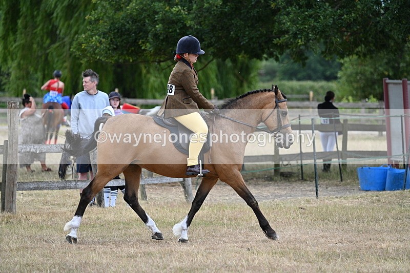WJ7_7376 - Class 2 Best Rider