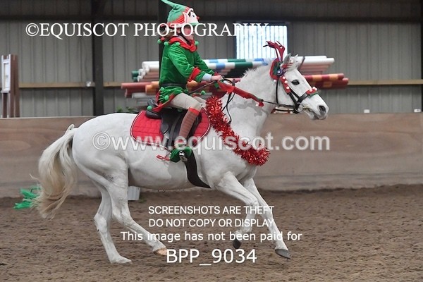BPP_9034 - CLASS 3 50CM-70CM Pairs Show Jumping