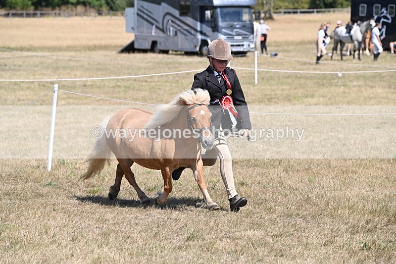 WJ6_9202 - Championship Classes 33-38