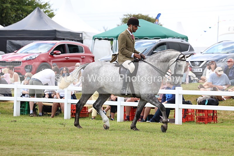 3E7A1895 - Class 10: Open Cob