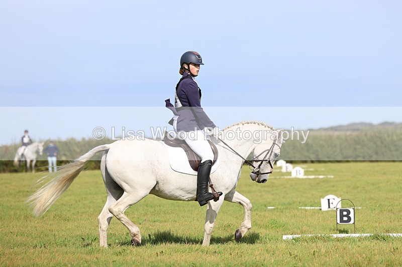 3E7A6255 - Class 1: Trebudannon Open: Dressage (Part 2)