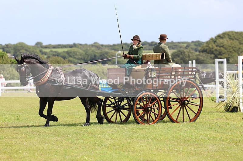 3E7A2723 - Class 12: Open Driving
