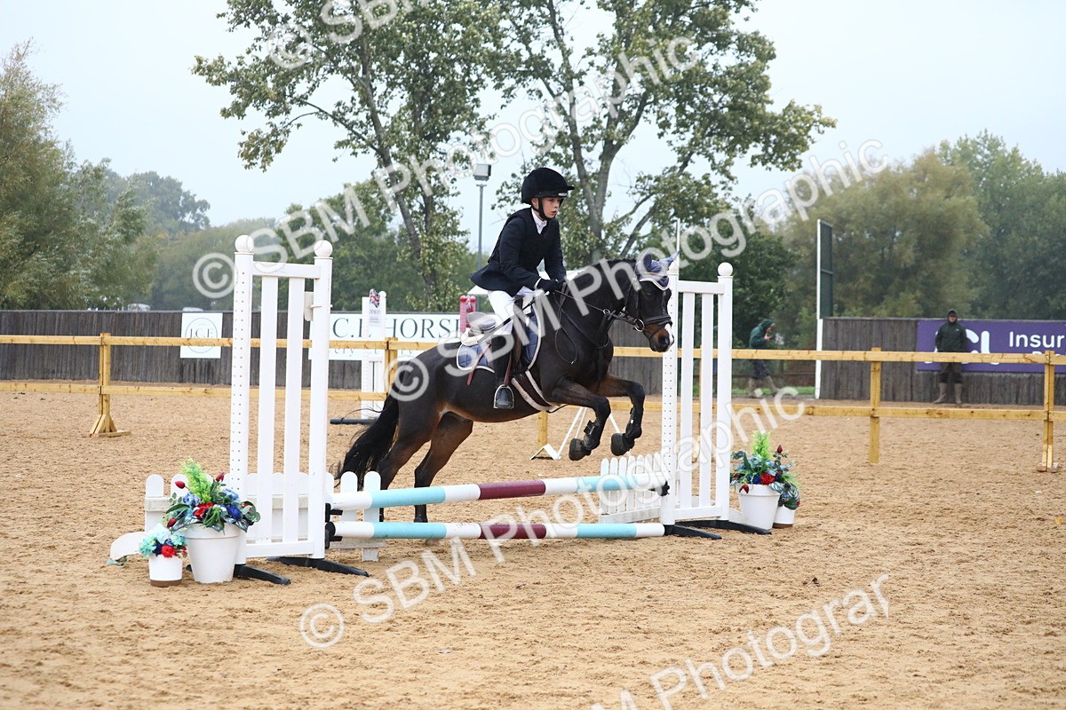 SBM_71783 - J4 - Mini Tour Junior Pony 45cm Championship