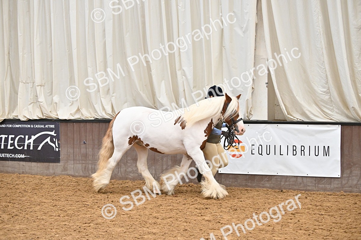 SBM_000274 - Class 10 - In Hand Coloured & Odd Coloured