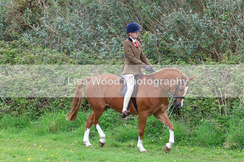 3E7A1953 - Class 10: Ridden Sports Horse