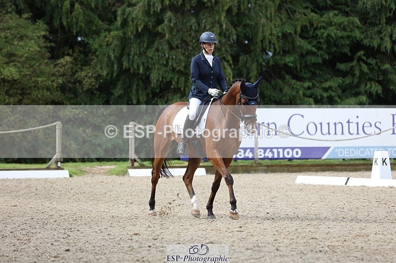 230812-104135-03301 - Cls 5 Novice Bronze Start to 10.55 break