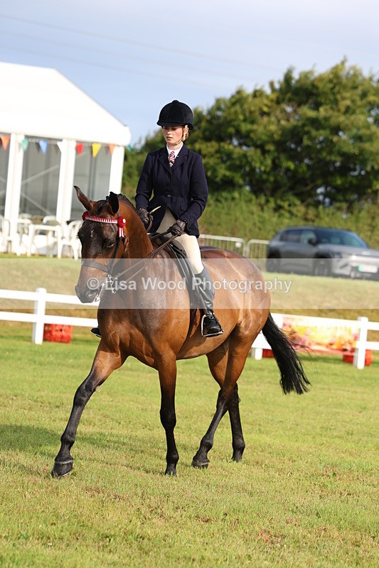 3E7A8167 - Class 2: Rising Star Large Hack/Riding Horse
